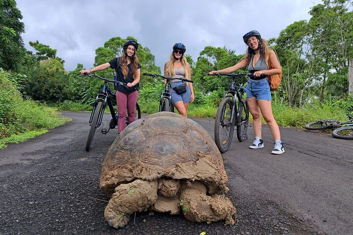 Private BiciTour Giant Tortoises and Lava Tunnel in Galapagos - Photo 1 of 19